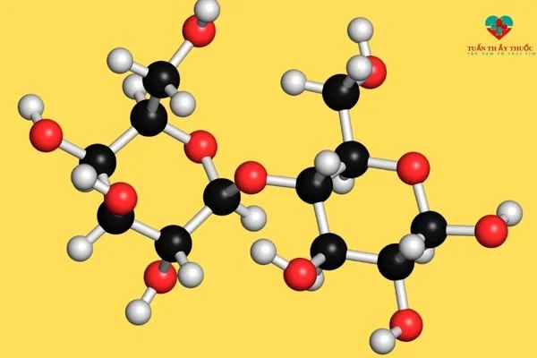 LACTASE LÀ GÌ? BỔ SUNG ENZYME LACTASE CHO CƠ THỂ NHƯ THẾ NÀO? 4 Enzym Lactase là gì - thực phẩm chức năng vip - Droppiishops
