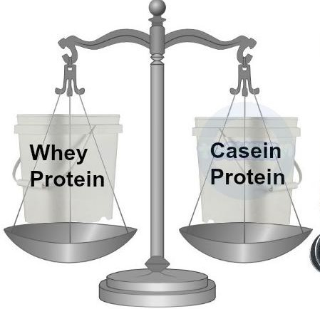 Casein Protein va Whey Protein - Tổng Kho MLM | Amway | Herbalife | Unicity | Droppii Biz