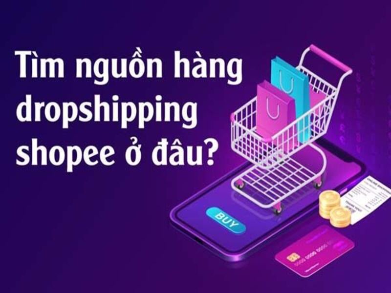 goi y cac cach tim nguon hang dropshipping dang pho bien tren mang 2023 2288 - Tổng Kho MLM | Amway | Herbalife | Unicity | Droppii Biz