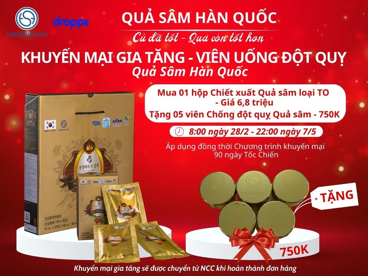 Khuyến mãi gia tăng mua Chiết xuất Quả nhân sâm Hàn Quốc tặng viên uống đột quỵ quả sâm Hàn Quốc Haesong Vina chính hãng giá tốt - Droppii