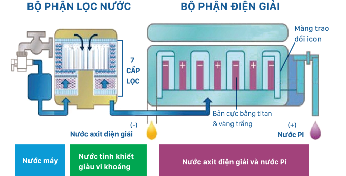 Nước Pi là gì? Có tốt không? Có tác dụng gì với sức khỏe? 29 nuoc pi la gi co tot khong co tac dung gi voi suc khoe 35 - Tổng Kho MLM | Amway | Herbalife | Unicity | Droppii Biz