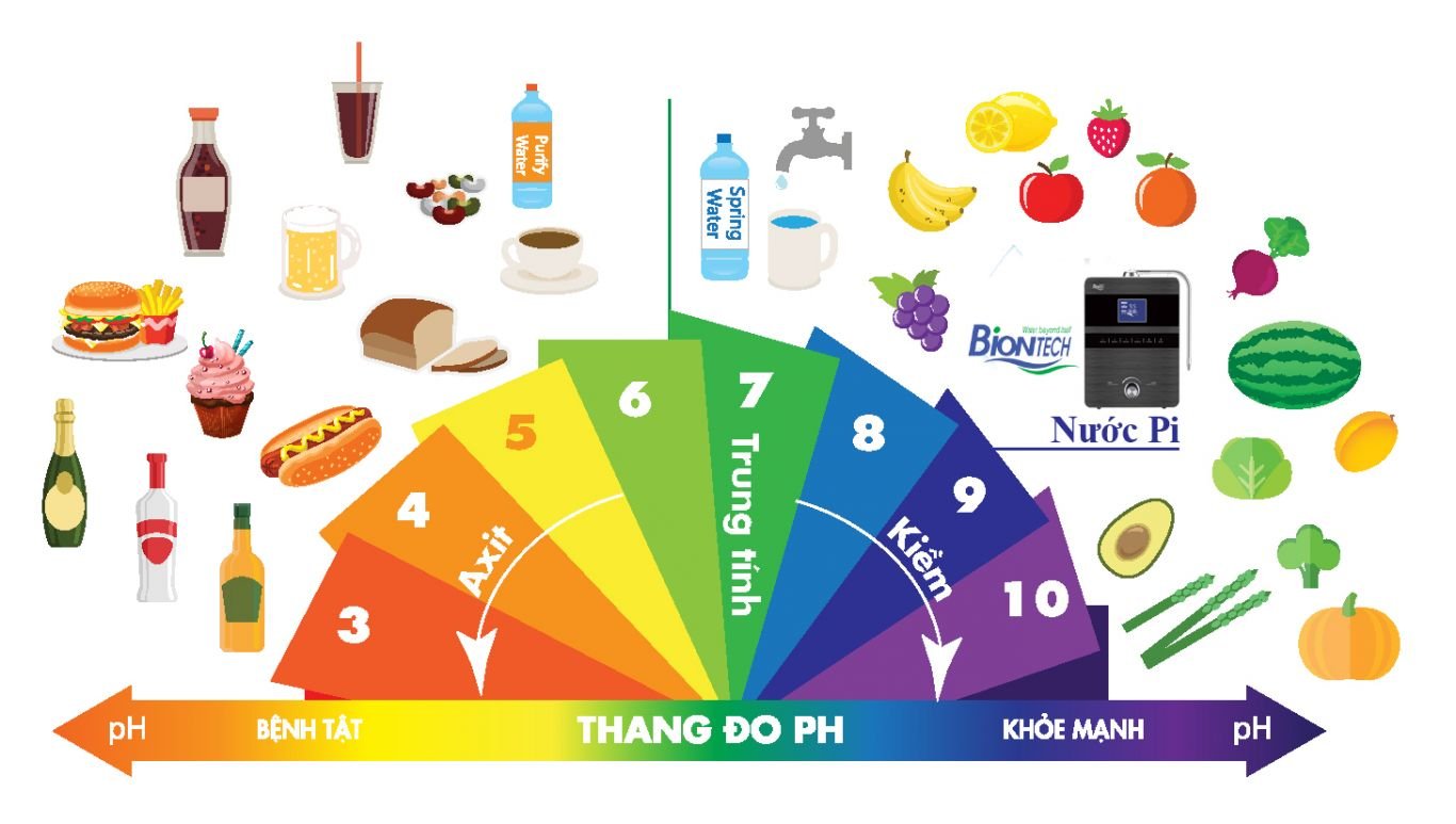 Nước Pi là gì? Có tốt không? Có tác dụng gì với sức khỏe? 17 nuoc pi la gi co tot khong co tac dung gi voi suc khoe 5 - Tổng Kho MLM | Amway | Herbalife | Unicity | Droppii Biz