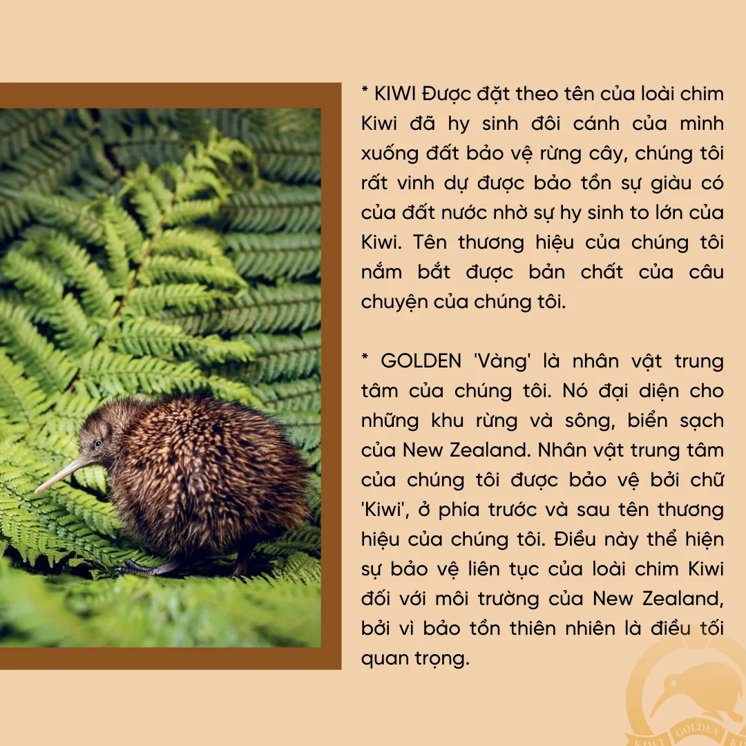 Về công ty Lyna Pharmtech - Công ty All Green Limited - Kiwi Golden Kiwi 21 Ý nghĩa của Kiwi và Golden