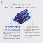 2-thanh-phan-510x510-1