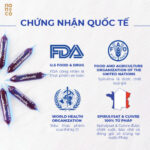 6-chung-nhan-quoc-te-510x510-1