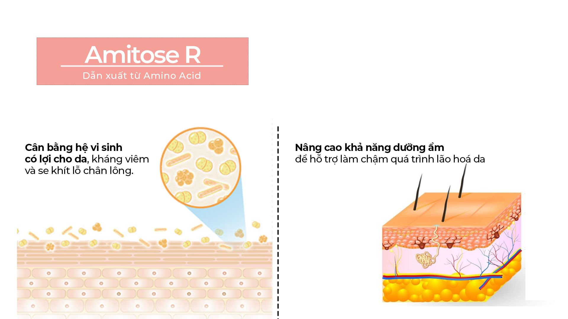 amitose r compressed min - Tổng Kho MLM | Amway | Herbalife | Unicity | Droppii Biz