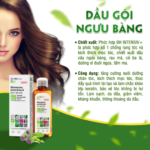 Banner-sp-elfa-2-510x510-1