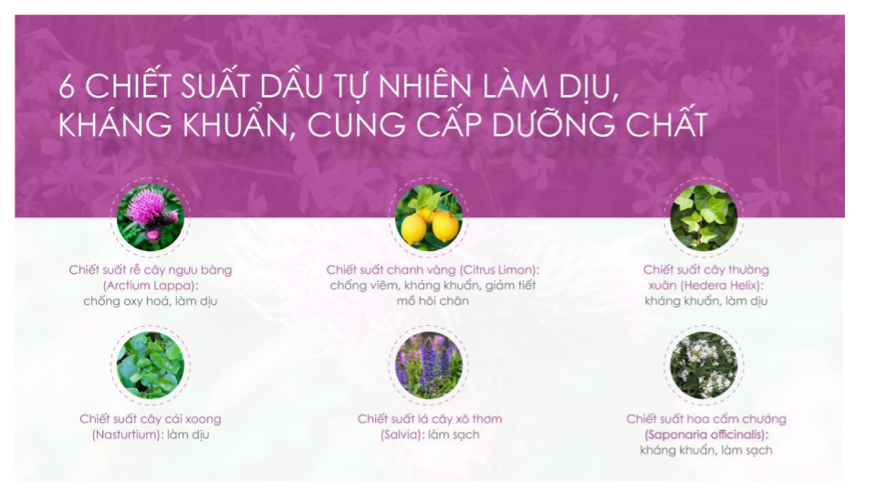 be1baa3n trc3acnh bc3a0y khc3b4ng cc3b3 tic3aau c491e1bb81 2 - Tổng Kho MLM | Amway | Herbalife | Unicity | Droppii Biz