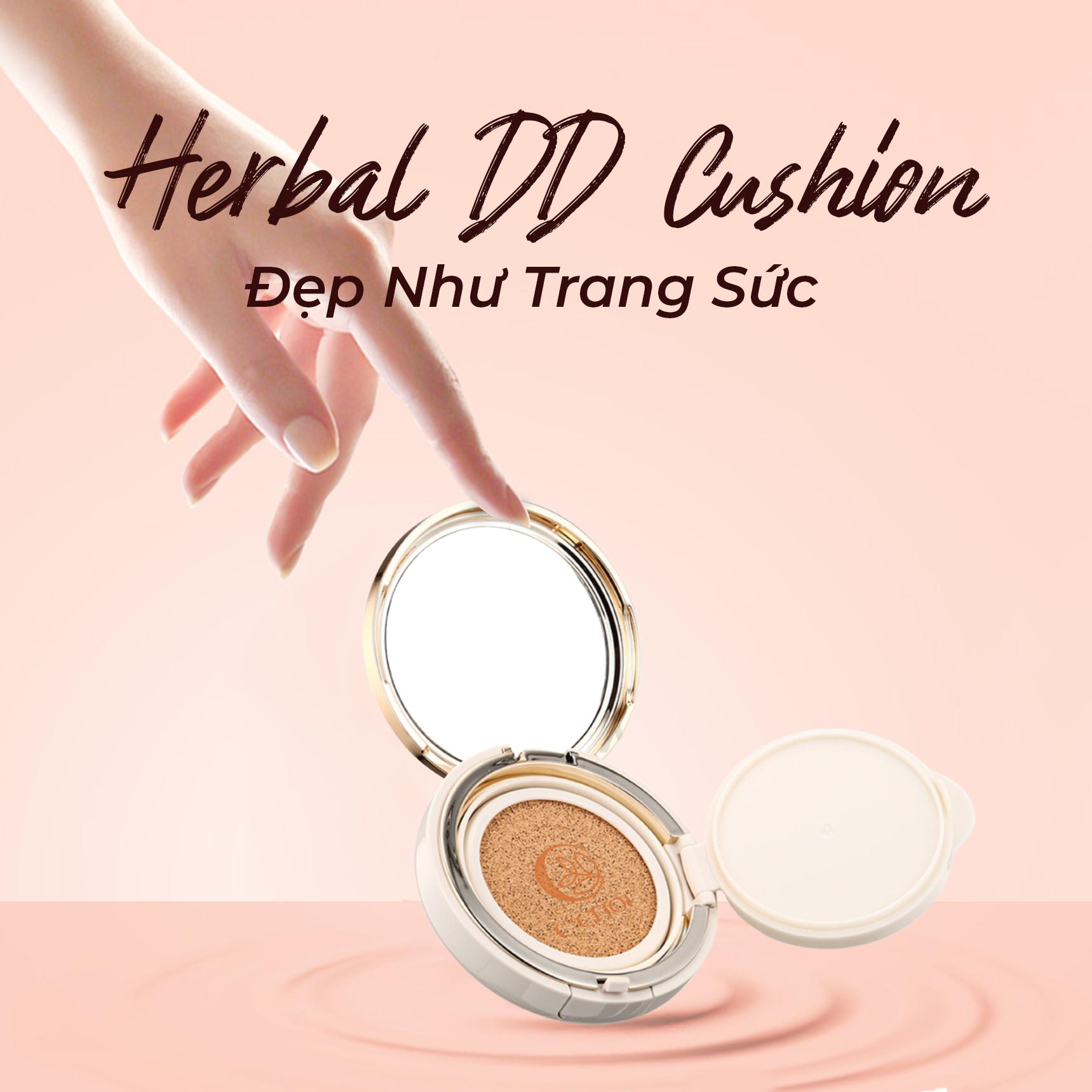 cushion e1baa3nh 2 1 - Tổng Kho MLM | Amway | Herbalife | Unicity | Droppii Biz