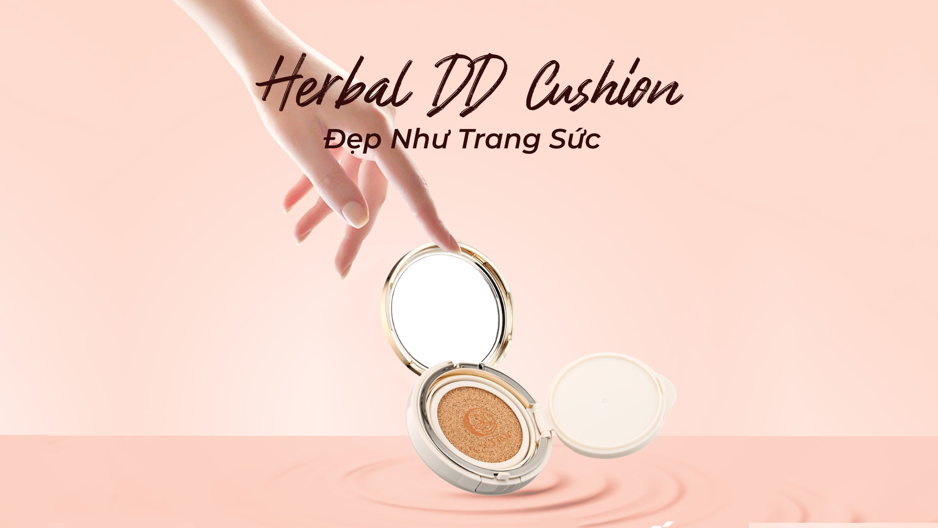 cushion e1baa3nh - Tổng Kho MLM | Amway | Herbalife | Unicity | Droppii Biz