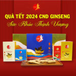 Hình Combo Tết