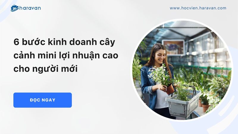 6 buoc kinh doanh cay canh mini cho nguoi moi 5a8527cc851a4cc78a196761a18b1b11 - Tổng Kho MLM | Amway | Herbalife | Unicity | Droppii Biz