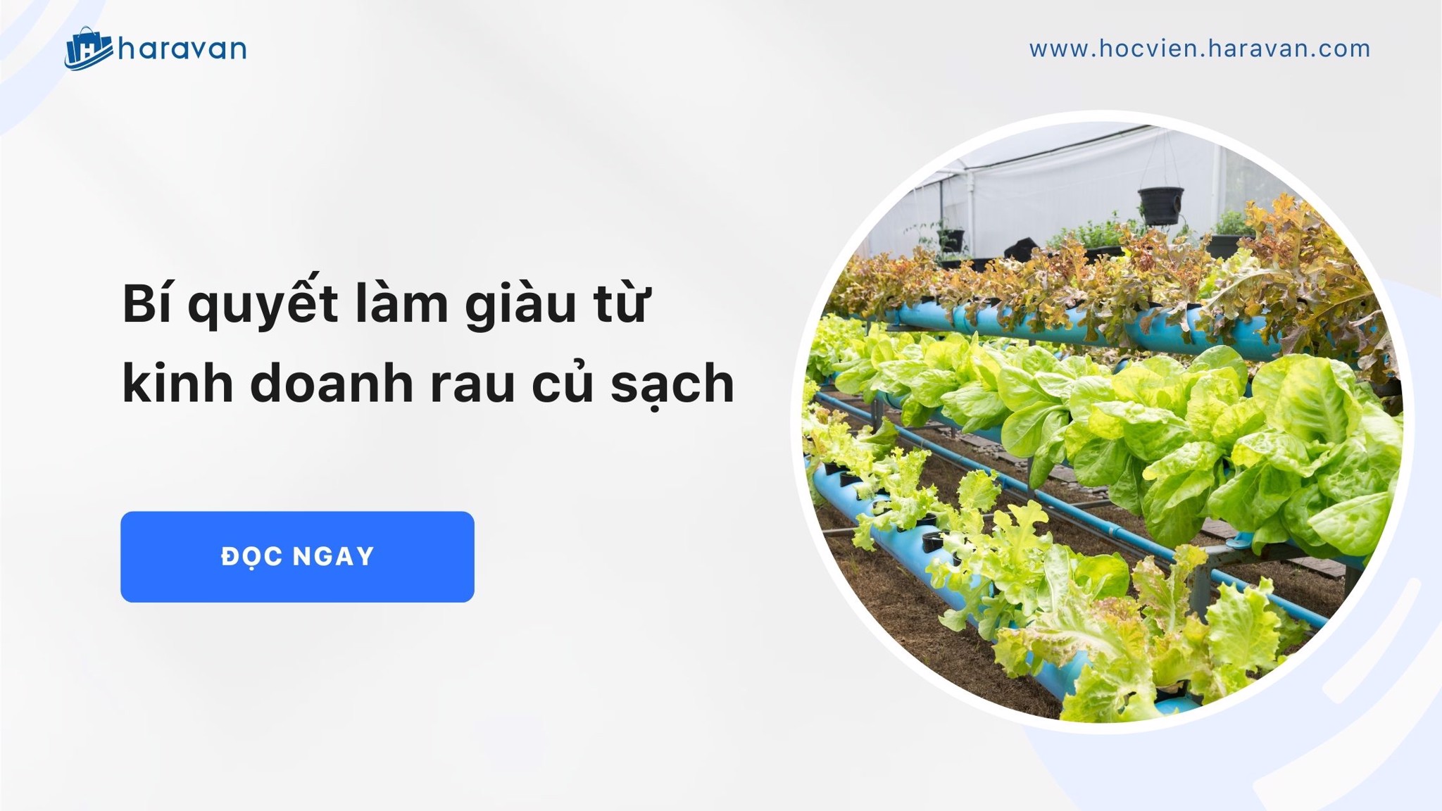 bi quyet lam giau tu kinh doanh rau cu sach 0736593973b84540909f0456bdd4fb14 - Tổng Kho MLM | Amway | Herbalife | Unicity | Droppii Biz