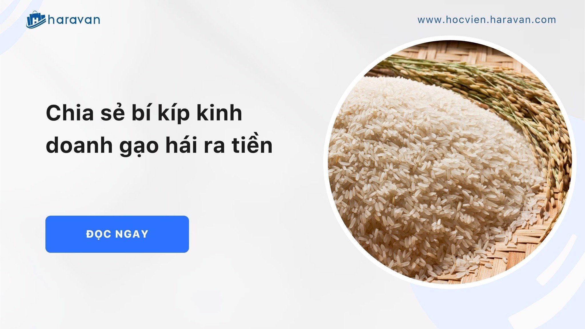 chia se bi kip kinh doanh gao hai ra tien fca9caf7a7e048649931c789c1ed5ae9 - Tổng Kho MLM | Amway | Herbalife | Unicity | Droppii Biz