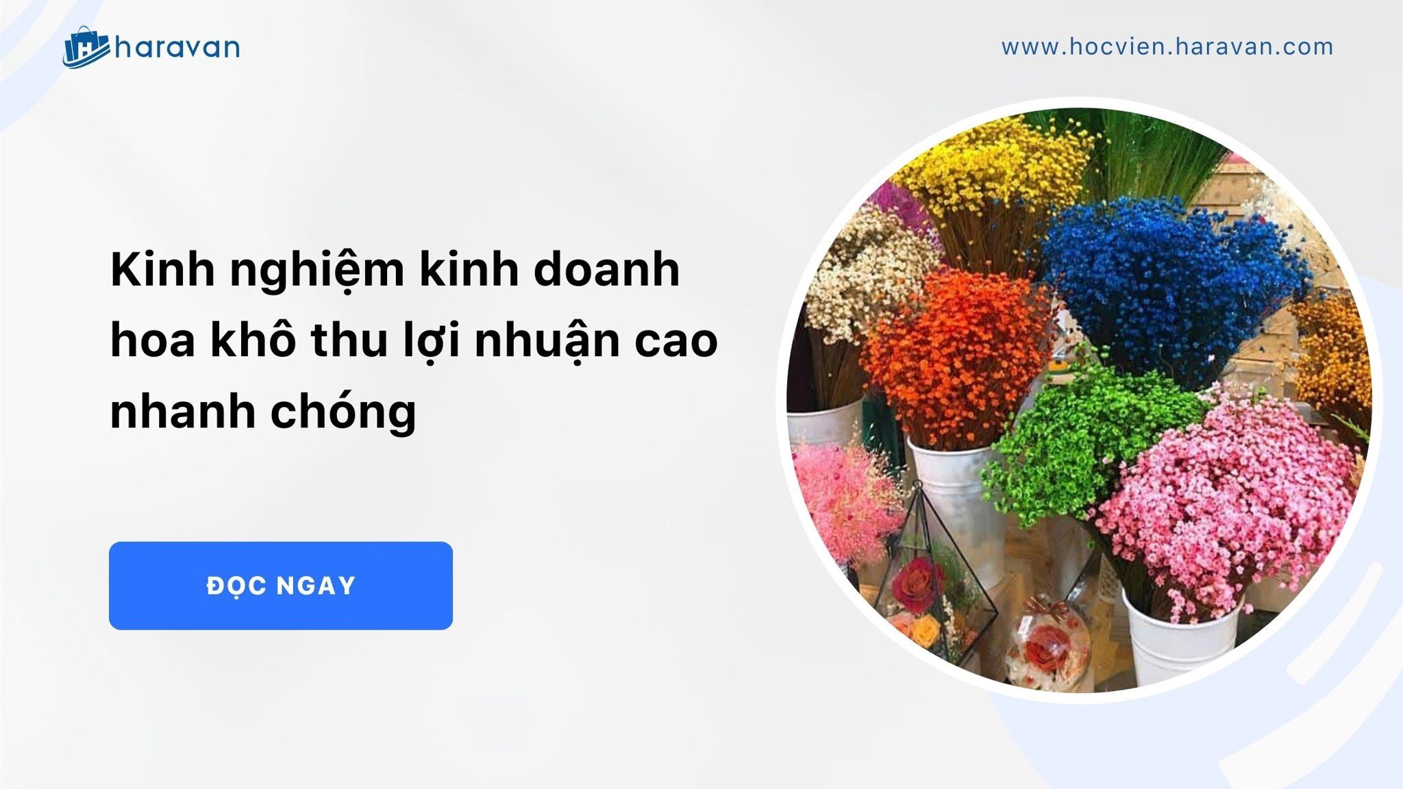 kinh doanh hoa kho a14c5097bb964b29bfc0ceca8b10057d - Tổng Kho MLM | Amway | Herbalife | Unicity | Droppii Biz