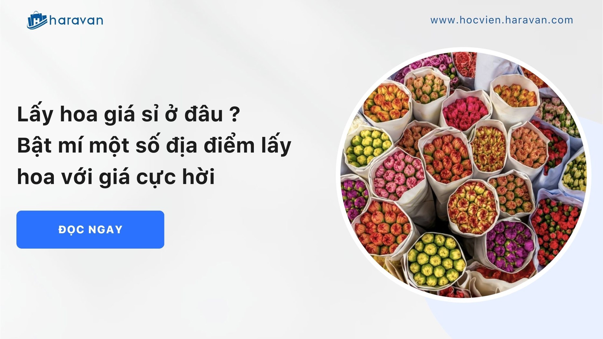 lay hoa gia si c44ecc83c8684eaa894956bebdf1af2b - Tổng Kho MLM | Amway | Herbalife | Unicity | Droppii Biz