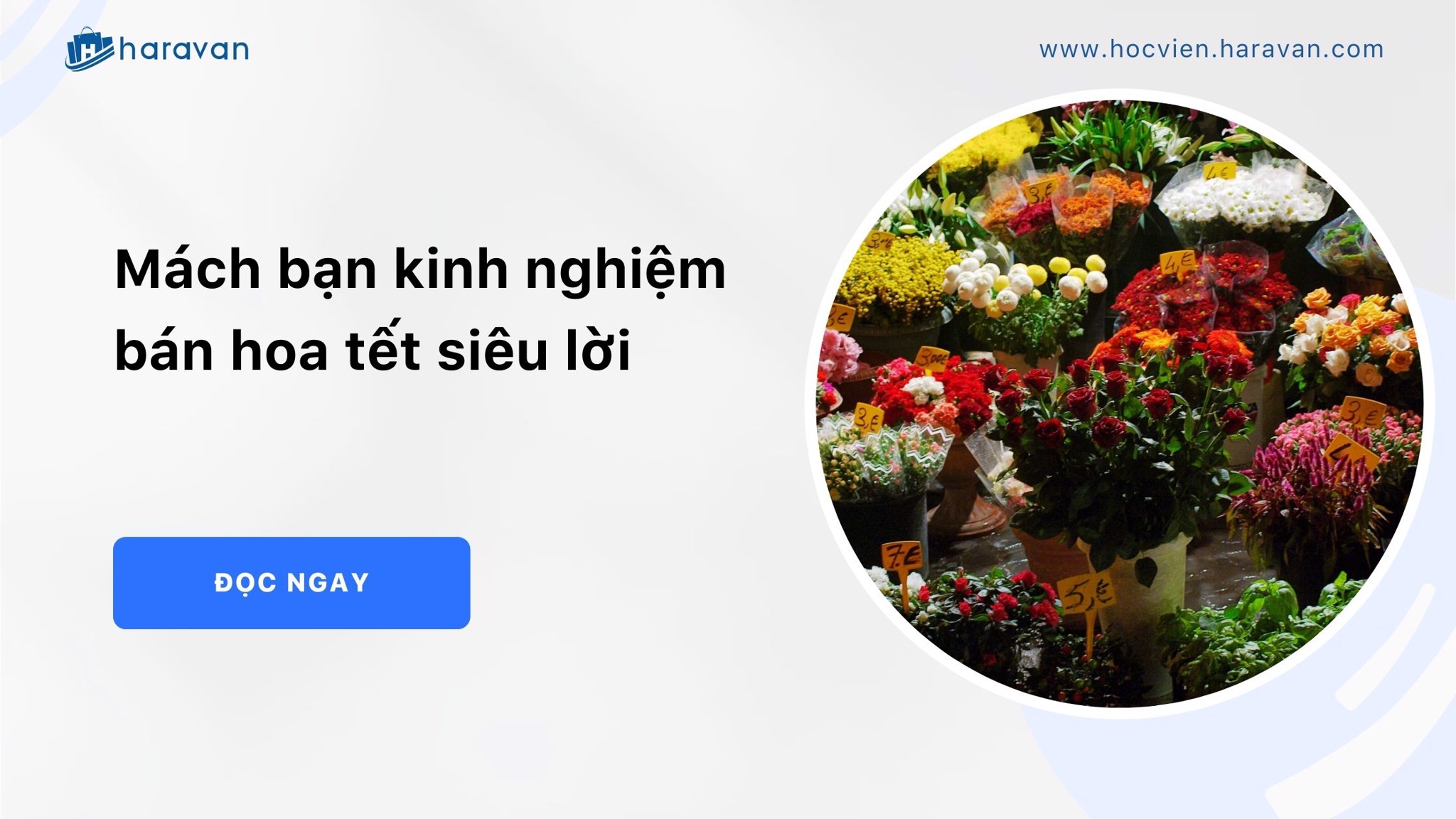 mach ban kinh nghiem ban hoa tet sieu loi e2fe9972b3a94a80b90a2642d2d07943 - Tổng Kho MLM | Amway | Herbalife | Unicity | Droppii Biz