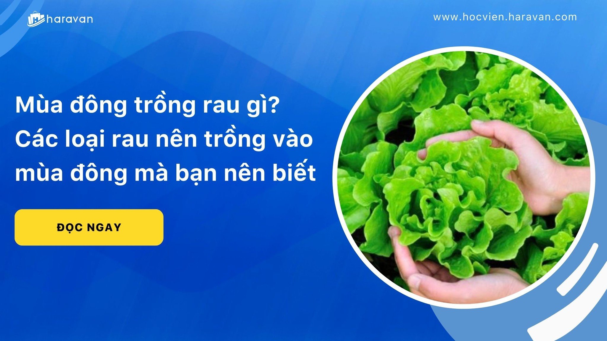 mua dong trong rau gi 647f2a0fd5894f65995a2abb07df1c35 - Tổng Kho MLM | Amway | Herbalife | Unicity | Droppii Biz