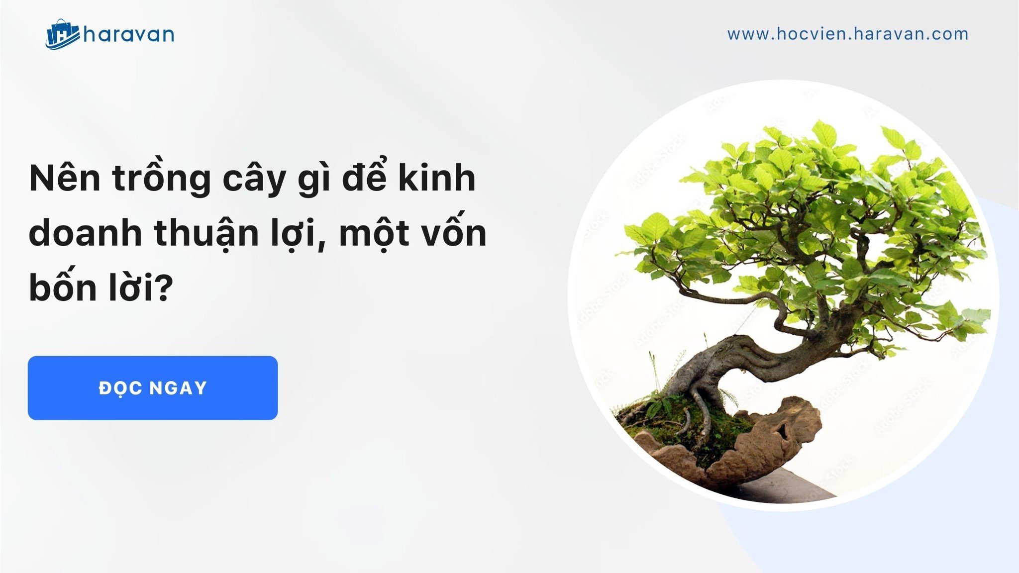 nen trong gi de kinh doanh anh bia 82c91c7c39a64386a25bfd2d44702ab4 - Tổng Kho MLM | Amway | Herbalife | Unicity | Droppii Biz