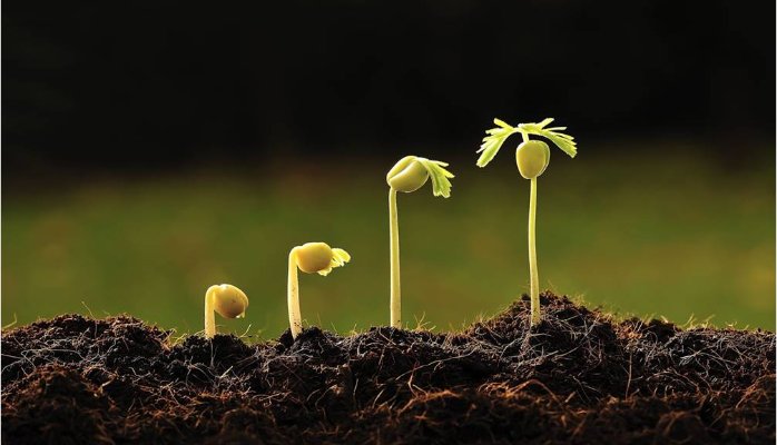 tool seeding con dao hai luoi va cach seeding hieu qua khi chay quang cao facebook 1 - Tổng Kho MLM | Amway | Herbalife | Unicity | Droppii Biz