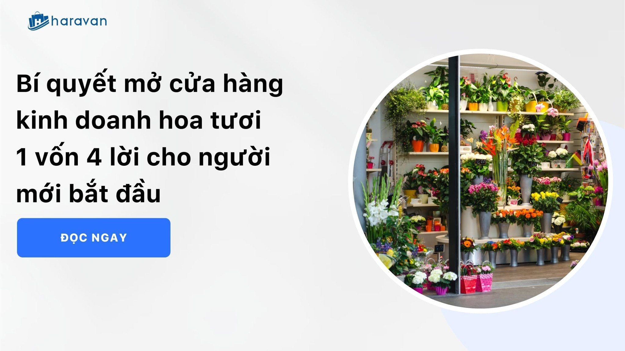 uyet mo cua hang kinh doanh hoa tuoi 1 von 4 loi cho nguoi moi bat dau d7414b1abbdd46c5bce6e0022f38d0de - Tổng Kho MLM | Amway | Herbalife | Unicity | Droppii Biz